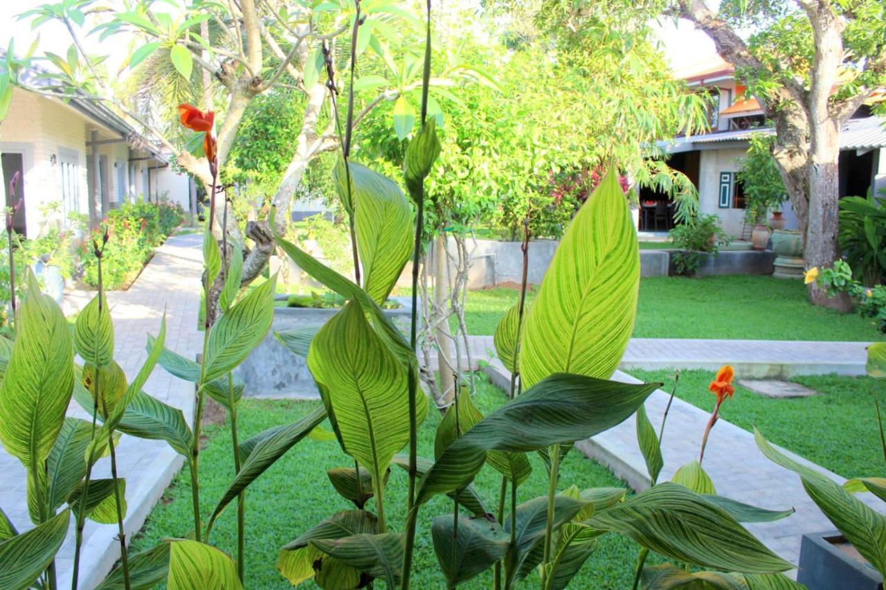 Morning Star Resorts เนกอมโบ ภายนอก รูปภาพ